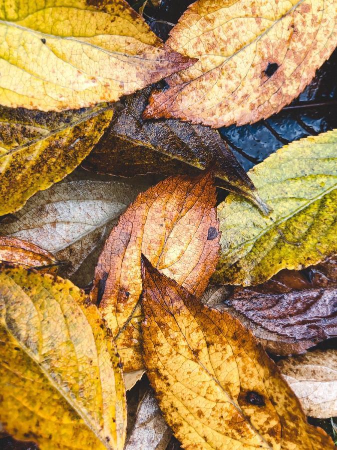 Atputas Vieta Braltirumi Purciems Exterior foto